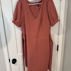 Express Blush Mini Dress